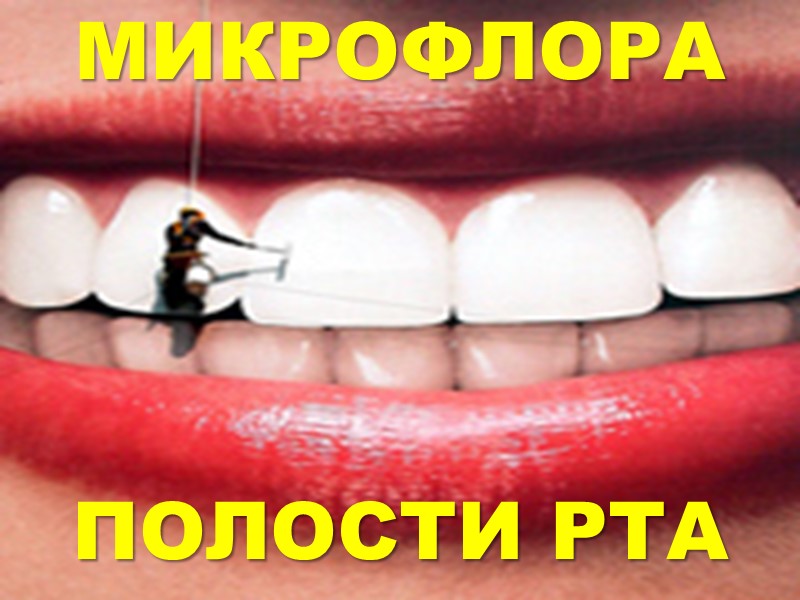 МИКРОФЛОРА     ПОЛОСТИ РТА